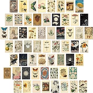 60 PCS Vintage Collection Postcard Set Retro Style Botanical Butterfly M...