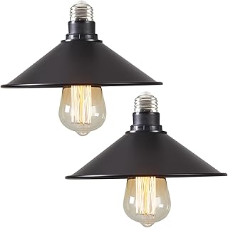 2-Pack E26 to E26 Screw-in Industrial Style Ceiling Lights Fixture, Matt...