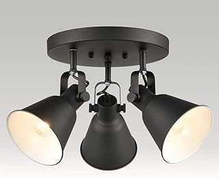 DIRYZON EUL Multi-Directional Ceiling Spot Light,Adjustable Round Track ...