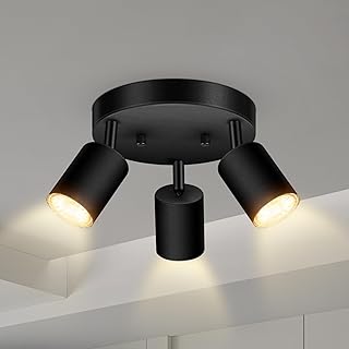 30+ Stunning Living Room Ceiling Lighting Ideas for Perfect Illumination 91 3 Light Track Lighting Fixtures Ceiling, Matte Black Round Directional C...