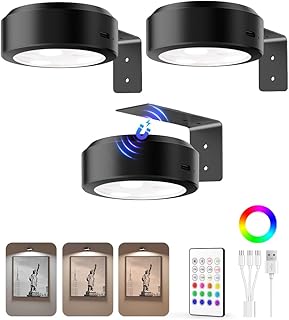 30+ Stunning Living Room Ceiling Lighting Ideas for Perfect Illumination 114 EZVALO Picture Lights for Wall, 2000mAh Rechargeable Battery Magnetic Po...
