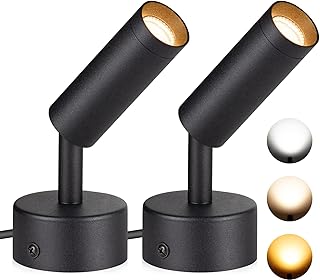 30+ Stunning Living Room Ceiling Lighting Ideas for Perfect Illumination 163 SUNVIE 2 Pack LED Spot Lights 3000K/4000K/5000K Adjustable Dimmable Floo...