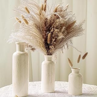 Pampas Grass with Vase Set – 3 Beige White Ceramic Vases with Natural Dr...