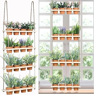 4 Tiered Window Plant Shelves Hanging Herb Planter Indoor Display with 1...