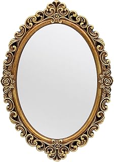 OIGUMR Small Oval Wall Mirror Resin Frame Size：15.7 x 11.2 inch Mirror V...