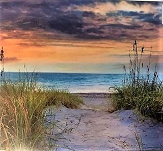 Aqua Seas at The Dunes Panel Cotton Fabric David Textiles AL 3848 Size 3...