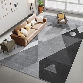 HOMFINE Washable Modern Area Rug - Geometric Style 5x7 Rugs for Living R...