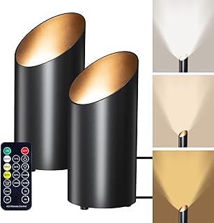 Brightown 2 Pack Floor Can Lights - 6000K LED Up Lights with Remote and ...