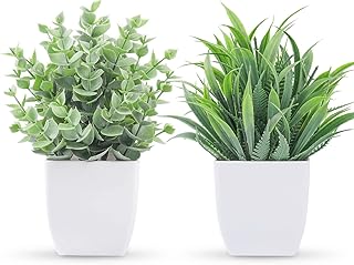 Der Rose 2 Pack Small Fake Plants Mini Artificial Potted Plants for Tabl...