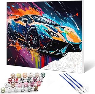 DIY Paint by Numbers,Racing Car,Colorful Canvas Oil Painting Kit for Kid...
