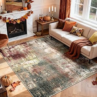 Washable Area Rugs 5'x7' Non-Slip Modern Abstract Soft for Living Room E...