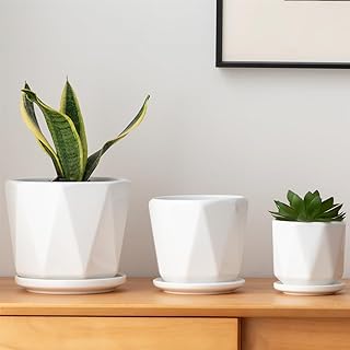 Octagon Ceramic Plant Pots - Indoor White Flower Planter Set with Draina...