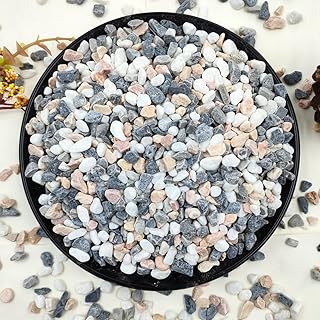 2LB Succulent and Cactus Gravel Pebbles, 1/5 Inch Natural Decorative Pol...