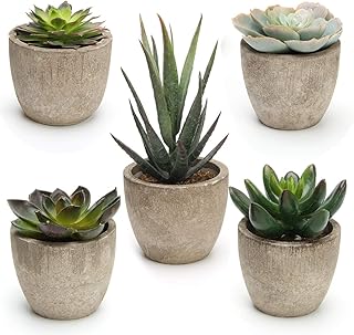 Coitak Artificial Succulent Plants Potted, Assorted Decorative Faux Succ...