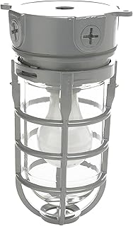 Woods L1706 Vandal Resistant Security Light With Ceiling Mount (150W Inc...