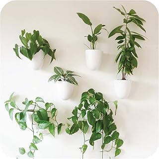 PlantPod Luxe - Self-Watering Wall Planters (Set of 6) - Easy to Water a...